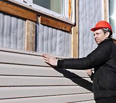 Professional Siding in Rushford, MN